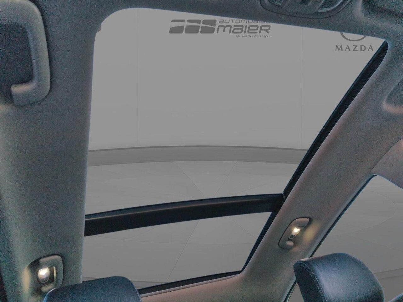 KIA Sportage 2.0 CRDI AWD PLATINUM EDITION *LED*NAVI Ansicht 12 für Fahrzeugdetailseite