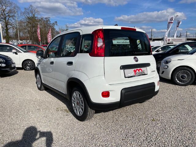 FIAT Panda Base Ansicht 4 für Fahrzeugdetailseite