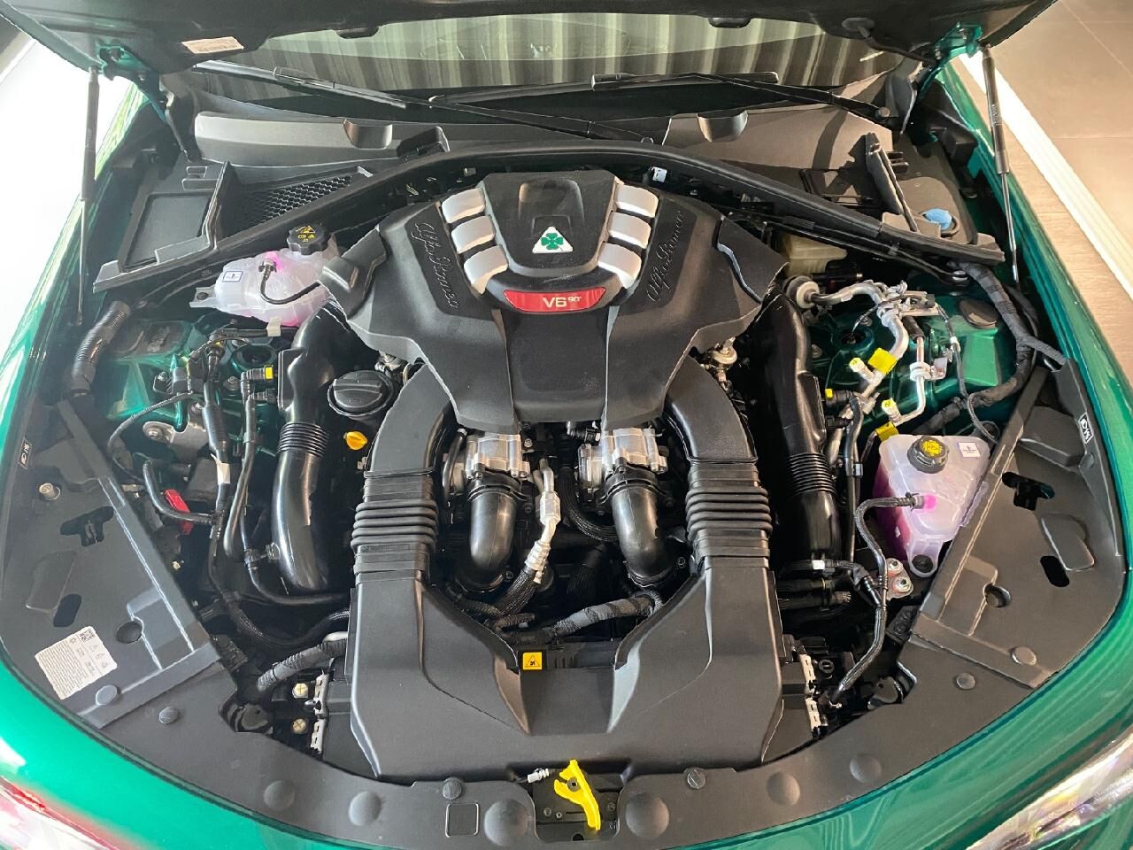 ALFA ROMEO Andere Quadrifoglio Oro Ansicht 13 für Fahrzeugdetailseite