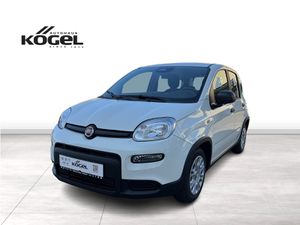 FIAT Panda Hybrid 1.0 70 PS inkl. Winterräder