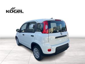 FIAT Panda Hybrid 1.0 70 PS inkl. Winterräder