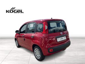 FIAT Panda Pandina ICON Hybrid 65PS