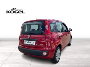 FIAT Panda Pandina ICON Hybrid 65PS