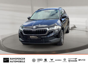 SKODA Karoq 2.0 TDI DSG Tour AHK ACC Matrix Standh. PDC