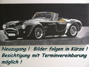 FIAT 124 DS Spider Pininfarina * Leder