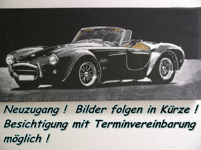 FIAT 124 DS Spider Pininfarina * Leder