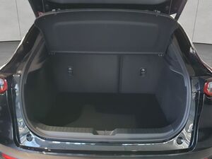 MAZDA CX-30 e-SKYACTIVE X 186 AWD Aut. TAKUMI 137 kW, 5-türig CX-30