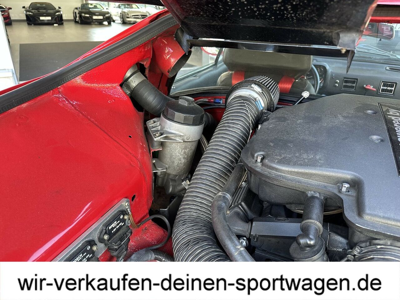 DETOMASO Pantera Das Biest! Nur für Freaks - Einzelstück!...