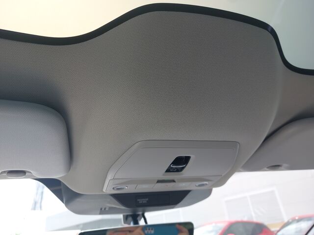 NISSAN Leaf 75 kWh Advance  Assistenzsysteme Rundumkameras Google-Navi PanoramaDach Ansicht 20 für Fahrzeugdetailseite