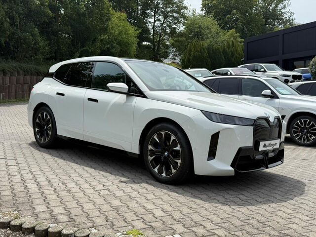 BMW iX xDrive45 Sportpaket Navi LED PDC Ansicht 4 für Fahrzeugdetailseite