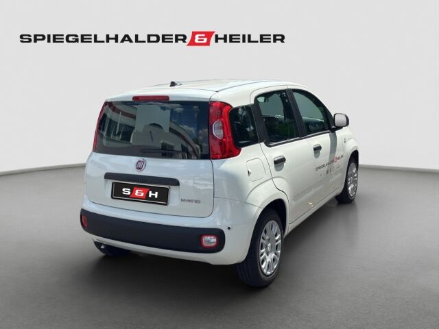 FIAT Pandina Icon Hybrid 1.0 GSE 4 6 GANG SCHALTGETRIEBE Ansicht 7 für Fahrzeugdetailseite