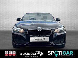 BMW 218 i Cabrio 2er - 218i +SHZ Kamera CarPlay DAB LMFelgen Navi+