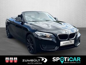 BMW 218 i Cabrio 2er - 218i +SHZ Kamera CarPlay DAB LMFelgen Navi+