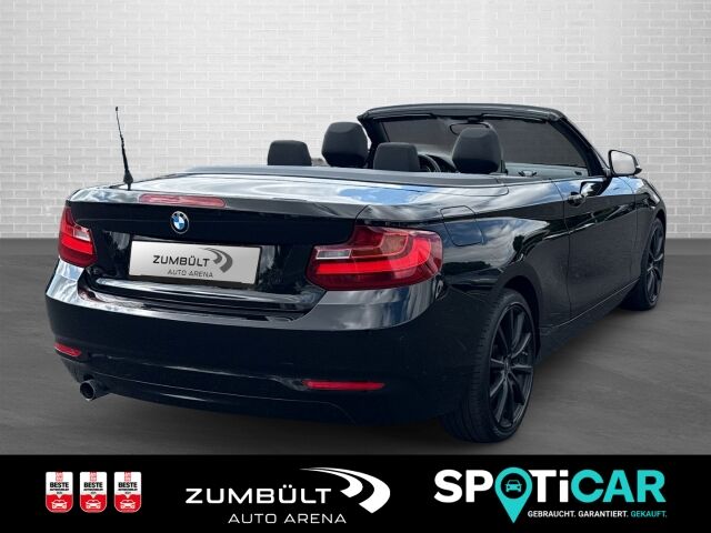 BMW 218 i Cabrio 2er - 218i +SHZ Kamera CarPlay DAB LMFelgen Navi+ Ansicht 4 für Fahrzeugdetailseite
