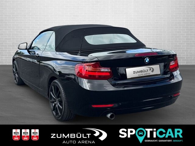 BMW 218 i Cabrio 2er - 218i +SHZ Kamera CarPlay DAB LMFelgen Navi+ Ansicht 6 für Fahrzeugdetailseite