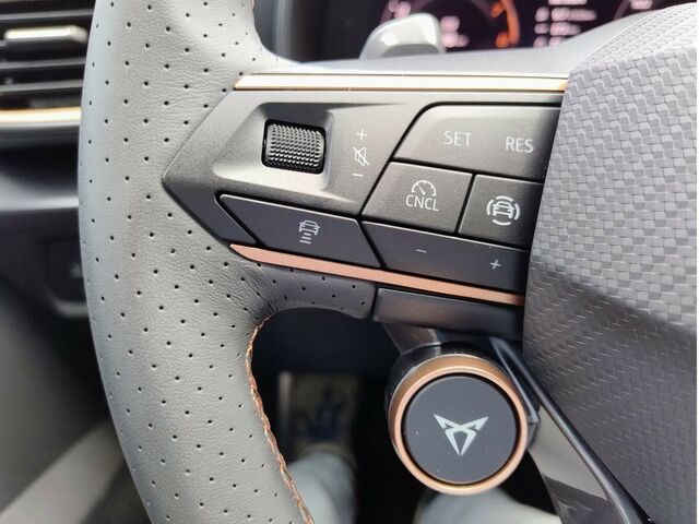 CUPRA Formentor VZ 2.0 TSI 245 kW 4Drive/eHK/ACC/Memo.... Ansicht 14 für Fahrzeugdetailseite