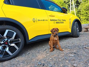 RENAULT R 5 Techno 120 Urban Range