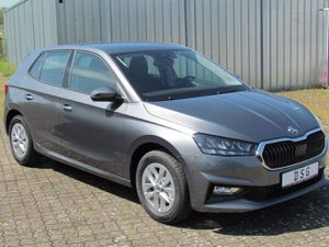 SKODA Fabia 1.0 TSI DSG Kamera Alu AppC SHZ PDC uvm.