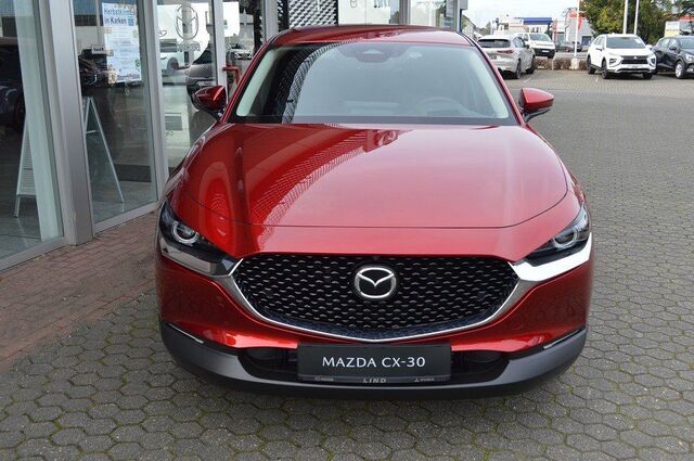 MAZDA CX-30 2.5L e-SKYACTIV G 140ps Ansicht 14 für Fahrzeugdetailseite
