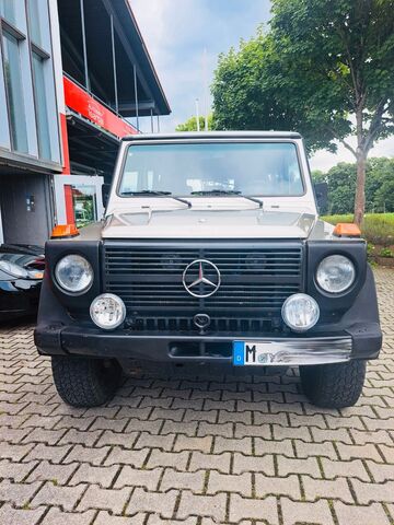 MERCEDES-BENZ G 250 D lang - H-Kz.