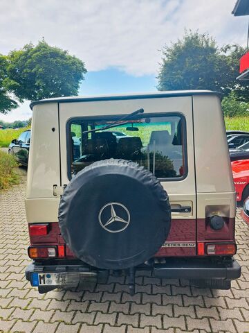 MERCEDES-BENZ G 250 D lang - H-Kz.