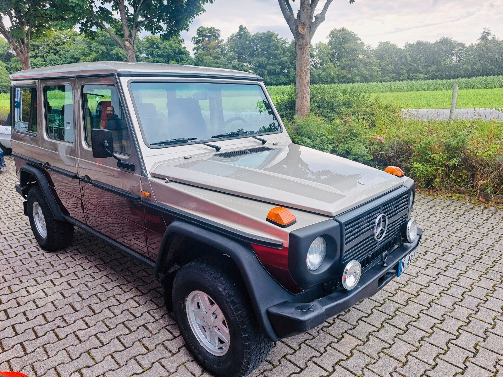 MERCEDES-BENZ G 250 D lang - H-Kz.