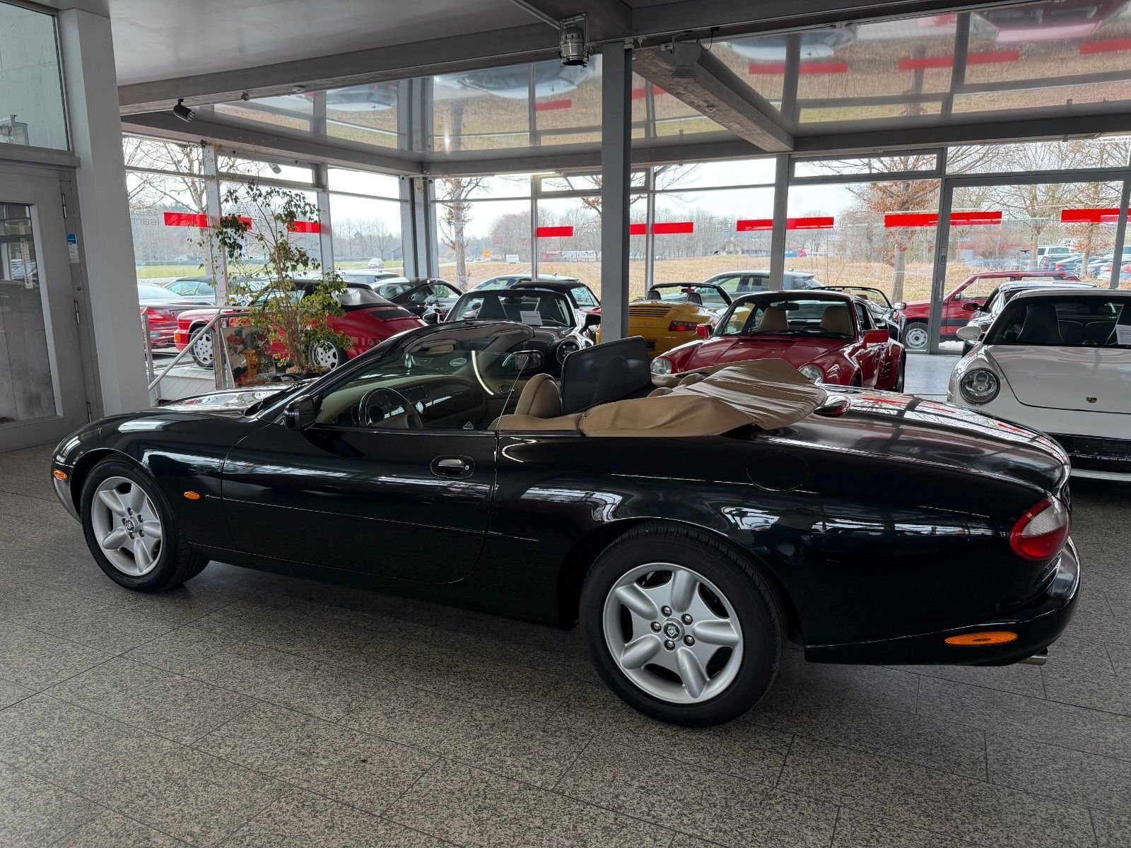 JAGUAR XK8 Cabriolet-  gr. Service neu - Toporiginal!