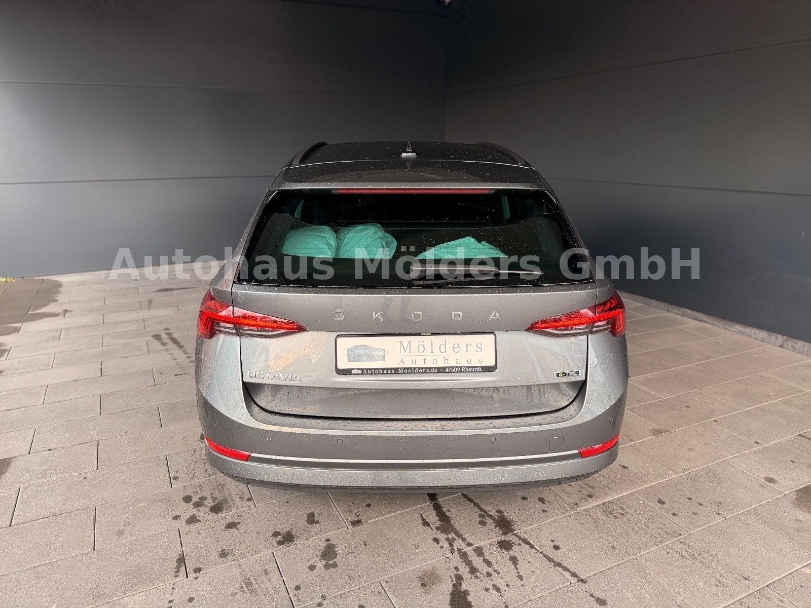 SKODA Octavia Combi 1,5e-TEC*Garantie*LED*Rfk*279EUR mtl Ansicht 7 für Fahrzeugdetailseite