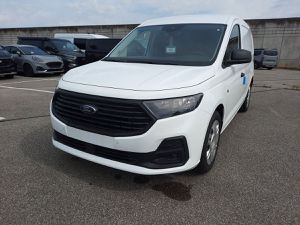 FORD Transit Connect EcoBlue Trend L2 Trennwand AHK