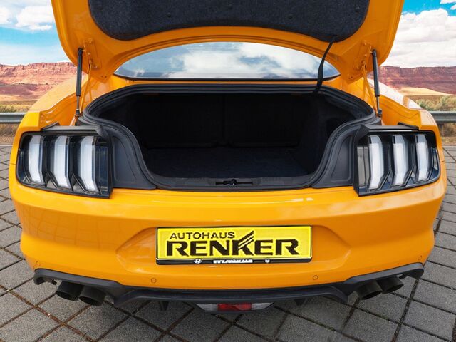 FORD Mustang Premium-Paket 2 Ansicht 13 für Fahrzeugdetailseite