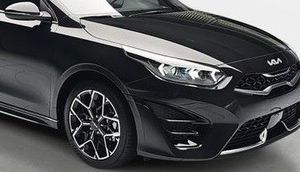 KIA ceed 1.5 T-GDI GT Line *Navi*17 Zoll*Teilleder*