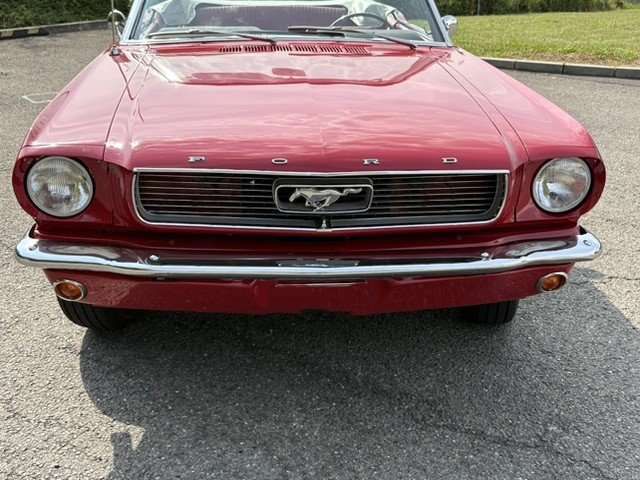 Ford Mustang Cabrio / Ponyausstattung