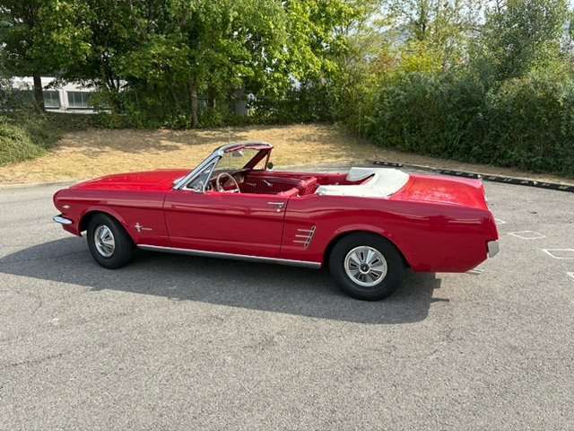 Ford Mustang Cabrio / Ponyausstattung