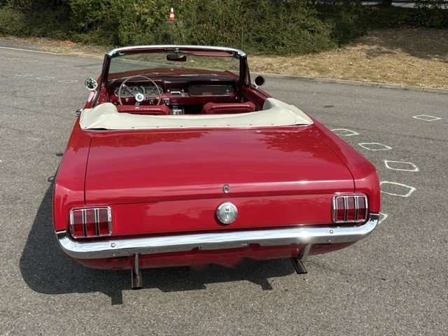 Ford Mustang Cabrio / Ponyausstattung
