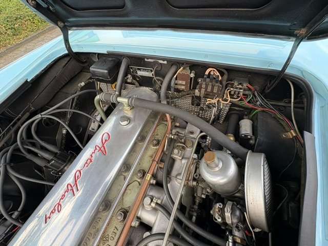 Austin-Healey 3000 BN7
