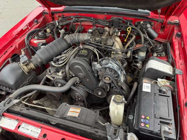 Ford Mustang Cabrio 2.3 LX *nur 63 TKM*2.Hand*deutsche Erstzulassung*HU neu*H-Kennzeichen*