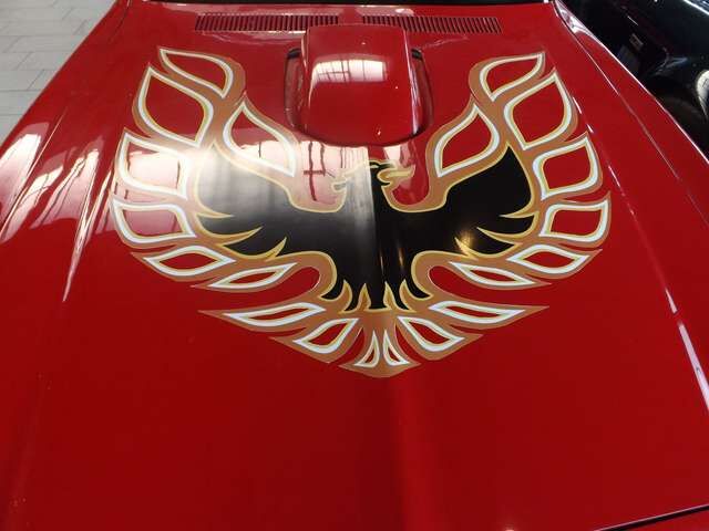 Pontiac Trans Am -garantiert echt und auch gnadenlos gut!