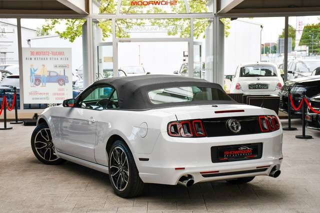 FORD Mustang 3.7L V6 Cyclone Aut. Xenon CarPlay Leder Ansicht 8 für Fahrzeugdetailseite
