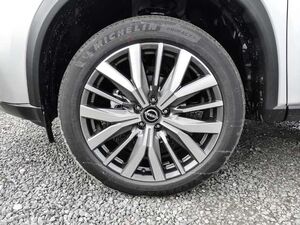 Nissan X-Trail Tekna 1.5 VC-T MHEV 163PS Xtronic 4x2 PGSD BOSE 20