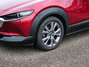 Mazda CX-30 Selection 2WD HUD Navi Leder Memory Sitze Soundsys
