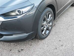 Mazda CX-30 2025 e-SKYACTIV-X 186PS FWD 6GS Exclusive-line BOS