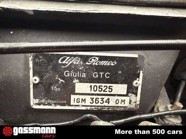 Alfa Romeo Sonstige Giulia 1600 GTC Coupe - mehrfach verfügbar!