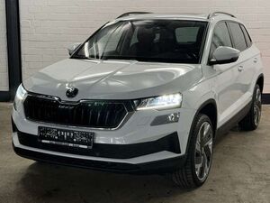 Skoda Karoq 2.0 TDI SCR DSG Tour | Pano | Standheiz |
