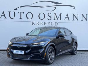 Ford Mustang LED   DAB  360°Kam.   KeyFree