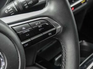 Mazda CX-30 Homura 2WD 2.0 SKYACTIV-G M Hybrid EU6d HUD Navi L