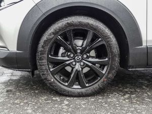 Mazda CX-30 Homura 2WD 2.0 SKYACTIV-G M Hybrid EU6d HUD Navi L