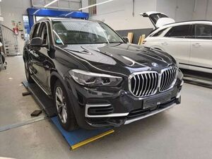 BMW X5 xDrive 45 e xLine Memory*LED*Leder*AHK*DriveP