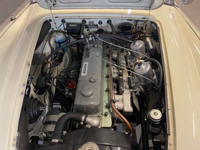Austin-Healey 3000 3000 Mark III (BJ8)