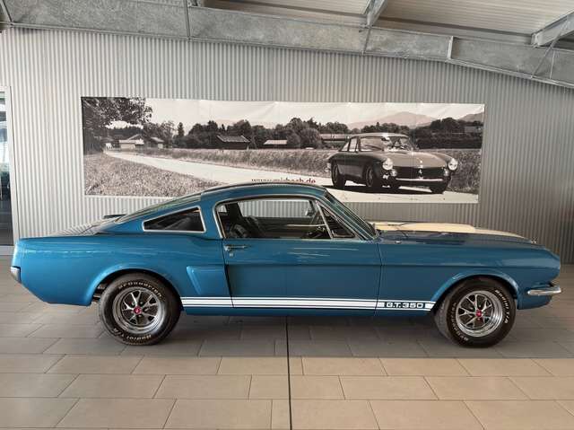 Shelby GT Mustang GT 350 Fastback