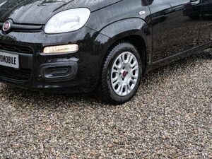 Fiat Panda Hybrid Klima Tagfahrlicht Radio ZV ABS Servo Airb